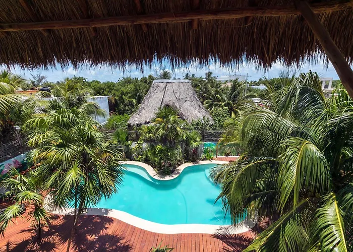 La Palma Holbox