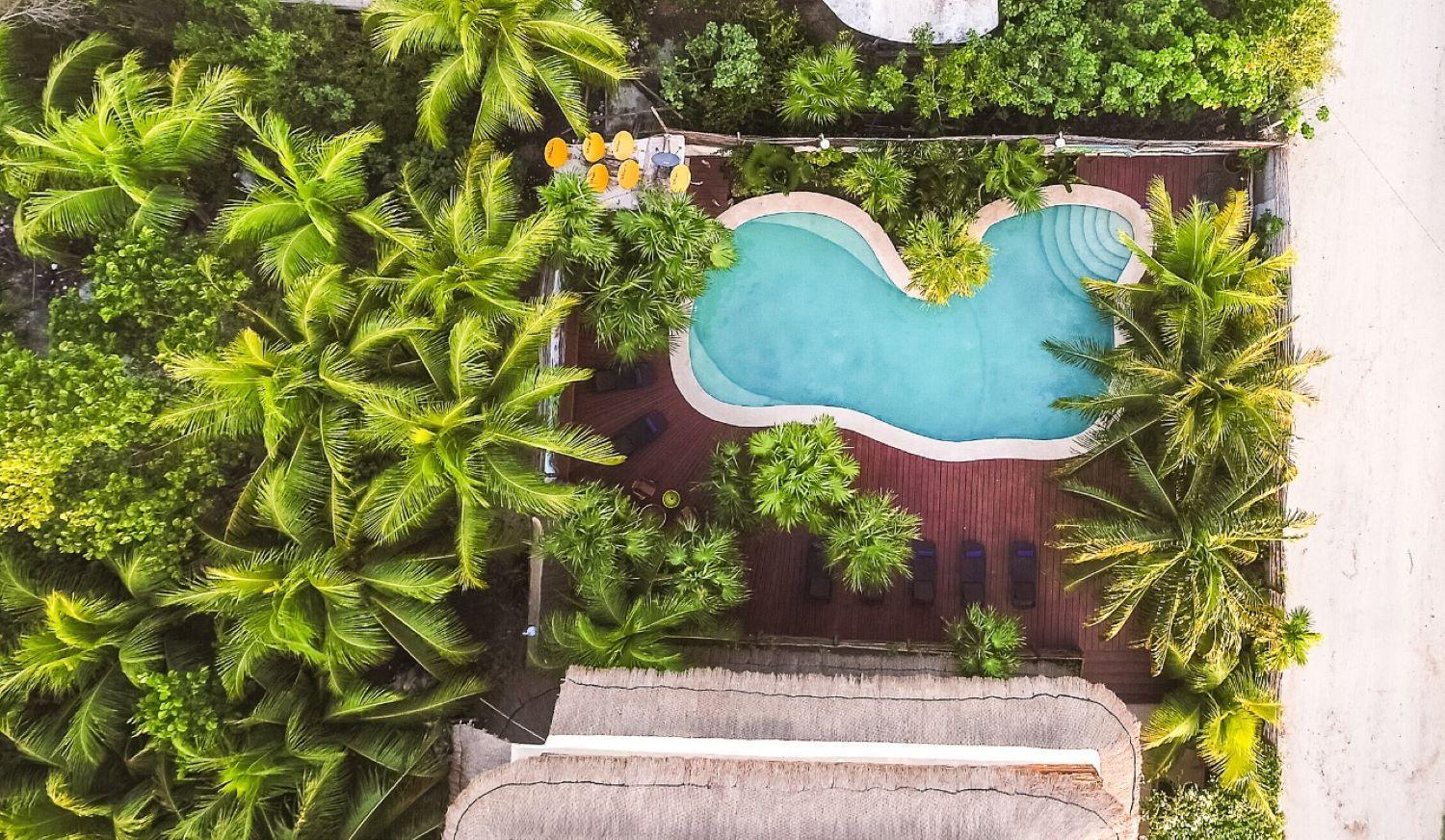La Palma Holbox